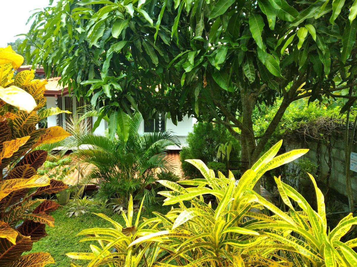 Sandhara Home Stay Tangalle Exteriör bild