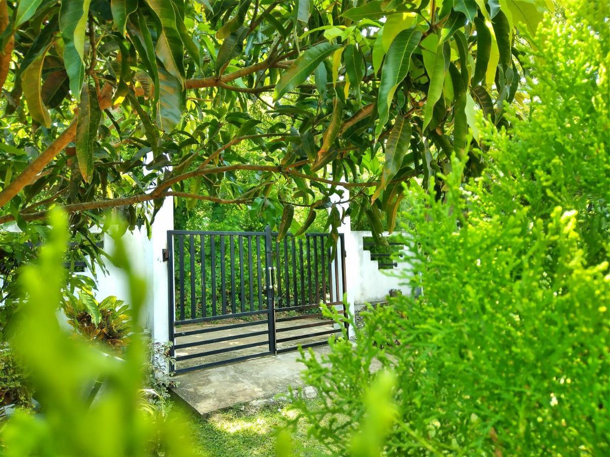 Sandhara Home Stay Tangalle Exteriör bild