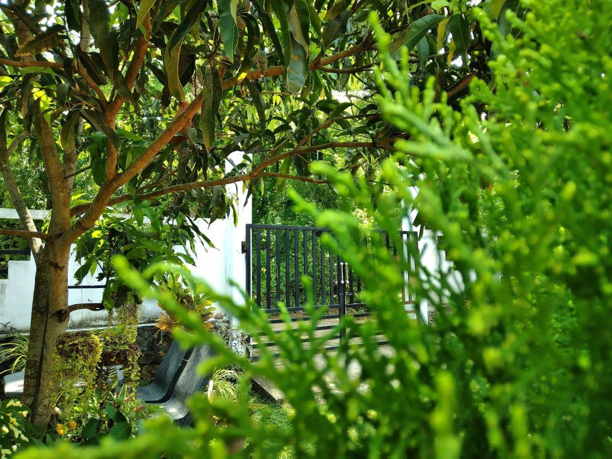 Sandhara Home Stay Tangalle Exteriör bild