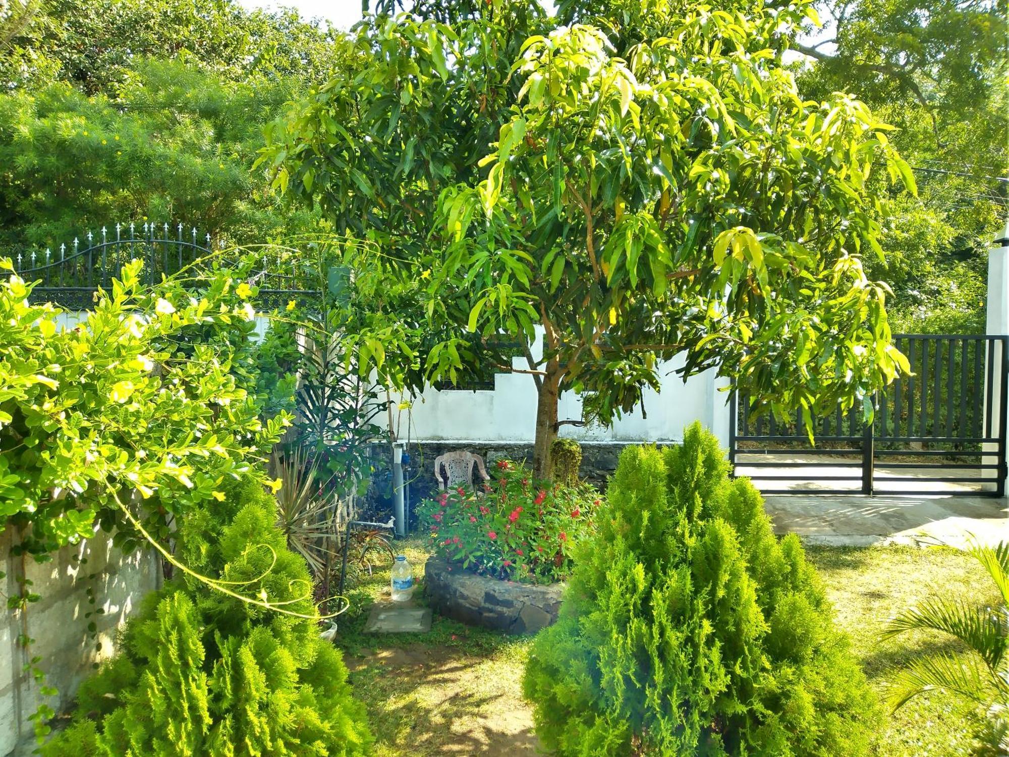 Sandhara Home Stay Tangalle Rum bild